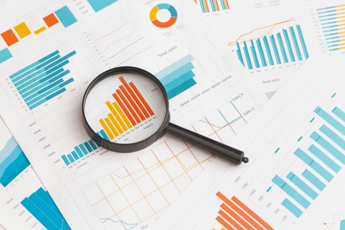 Hansı strateji sahələrə investisiya təşviqi sənədi verilir?